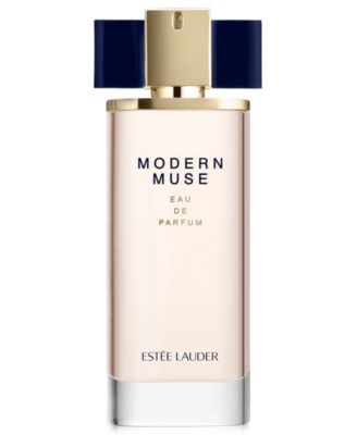 steve lauder perfume