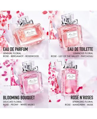 miss dior blooming bouquet vs absolutely blooming