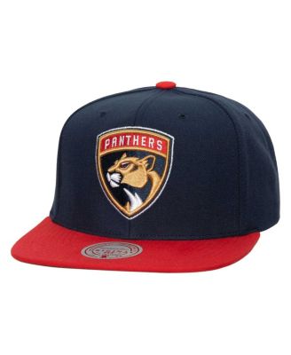 Мужская кепка-бейсболка Mitchell & Ness Navy Florida Panthers Core Team Ground 2.0 Snapback