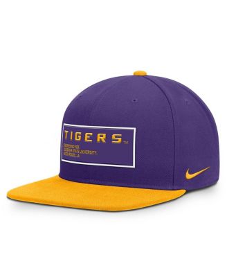 Мужская бейсболка Nike LSU Tigers 2025 с нашивкой Pro Dri-FIT Snapback Hat multi, фиолетовая / золотистая, 2025 года выпуска.