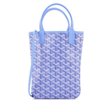 Подержанная сумка Goyard PM Poitiers Tote из холста с покрытием и принтом синего цвета