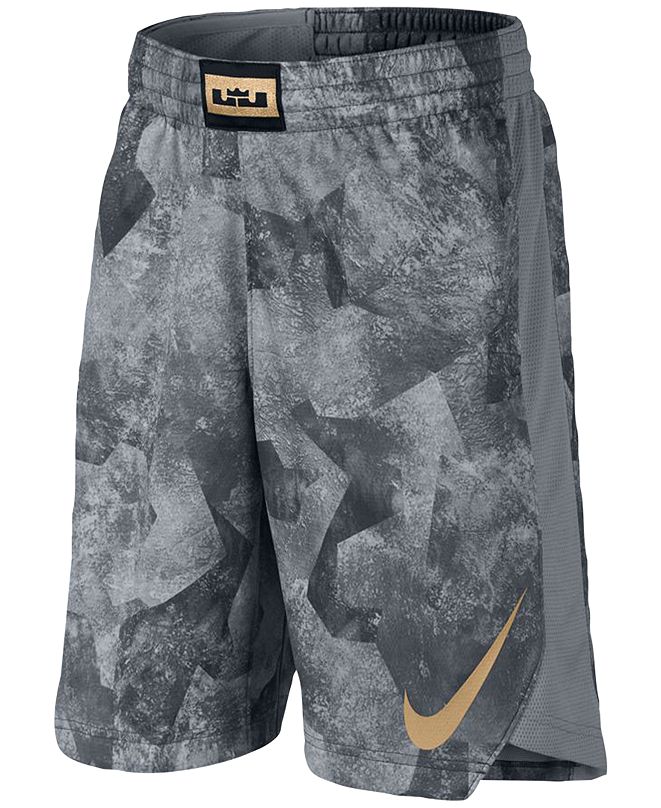 nike lebron driven shorts