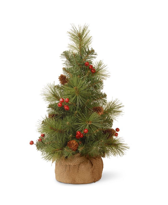 National Tree Company 18" Everyday Collection Miniature Pine Cone