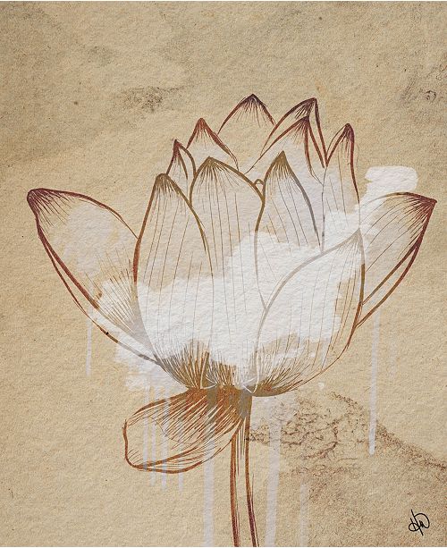 Creative Gallery Sacred Lotus Flower Drawing 24" X 36" Canvas Wall Art  Print & Reviews - Wall Art - Macy's
