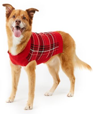 dog ugg sweater