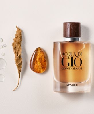 armani acqua di giò absolu