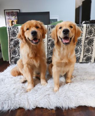 puprug faux fur