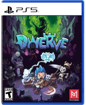 PM Studios Dwerve для Playstation 5 без цвета
