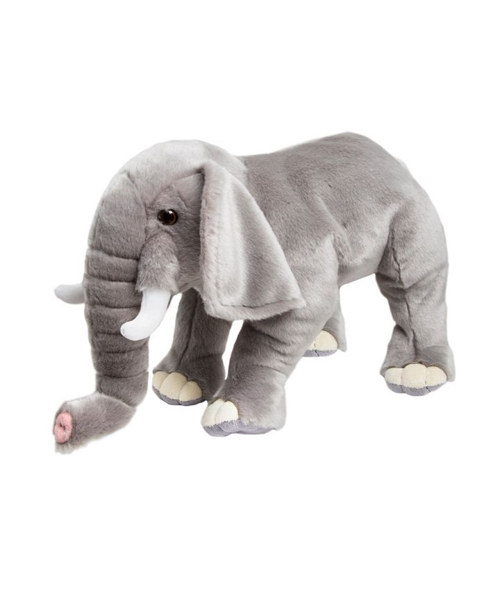 fao elephant