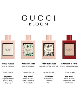 ambrosia gucci