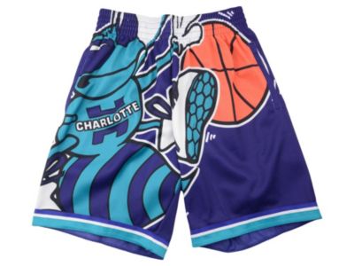 charlotte hornets mitchell and ness shorts