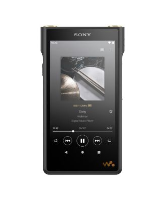 Цифровой музыкальный плеер Sony NW-WM1AM2 128GB Walkman черный