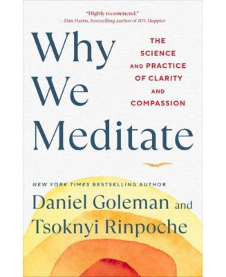 Почему мы медитируем - Наука и практика ясности и сострадания Дэниела Гоулмана