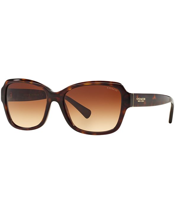 COACH Sunglasses, HC8160 & Reviews - Sunglasses by Sunglass Hut ...