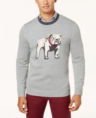 sweater with bulldog on it
