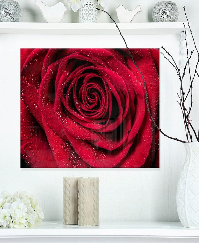 Design Art Designart Red Rose Petals With Rain Droplets Floral Metal Wall Art 20 X 12 Reviews All Wall Decor Home Decor Macy S Check out our rose petals wall art selection for the very best in unique or custom, handmade pieces from our shops. macy s