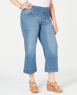 plus size fit and flare jeans