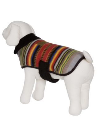 pendleton wool dog coat