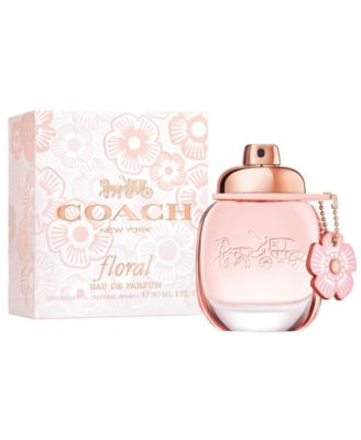 coach floral perfume macys