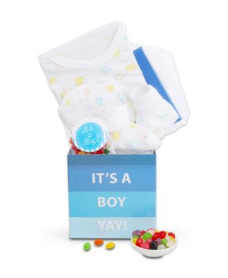 Подарочные корзины Alder Creek It's a Boy Baby Gift Box, 4 штуки