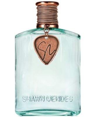 shawn mendes parfum signature 2