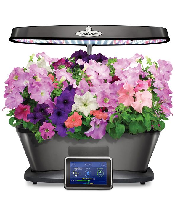 AeroGarden Grow Anything 9-Pod Refill Kit & Reviews - Small Appliances