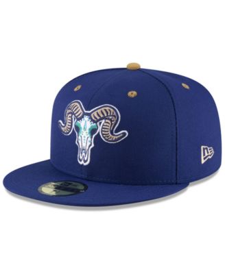 hartford yard goats cap
