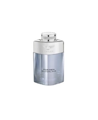 Парфюмированная вода Silverlake for Men, 3,4 унции