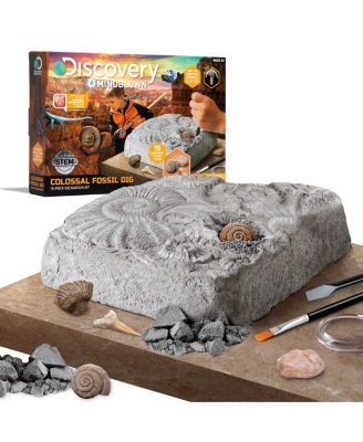 Набор для раскопок окаменелостей Discovery #MINDBLOWN Toy, 15 цветных деталей