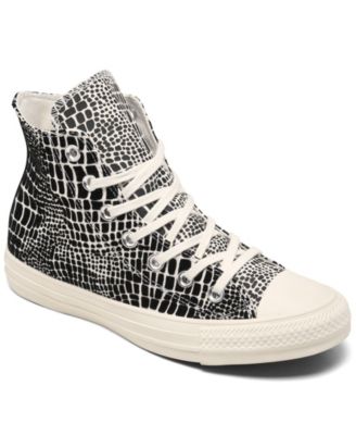 crocodile converse