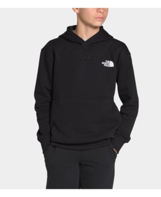 the north face men's pullover big bear hoodie