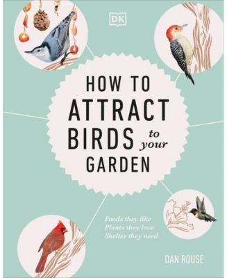 Как привлечь птиц в свой сад: продукты, которые им нравятся, растения, которые они любят, укрытие, в котором они нуждаются, Дэн Рауз