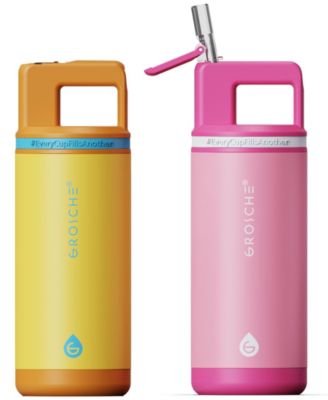 Детская изолированная бутылка для воды GROSCHE Alpine Flip 'N Sip, 2 шт., с соломинкой