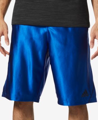 adidas dazzle shorts