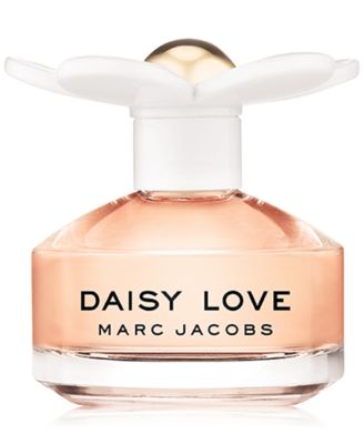 macy's daisy love perfume