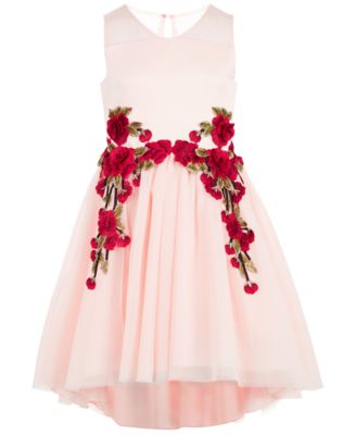 macy's rose dress
