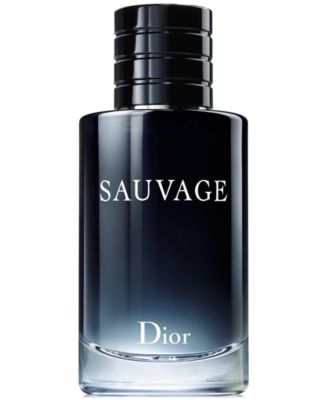 dior sauvage eau de parfum deluxe mini