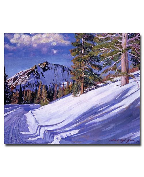 Trademark Global David Lloyd Glover Snow Mountain Road Canvas Art 24 X 18 Reviews All Wall Decor Home Decor Macy S