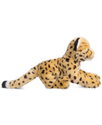 fao cheetah