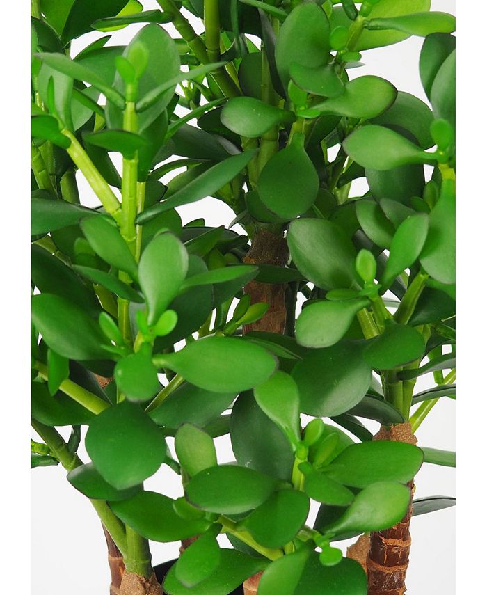 Le Present Artificial Plants Jade Plant Crassula 32" & Reviews All