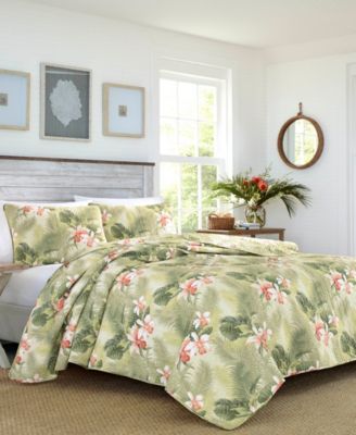 tommy bahama bedding macys