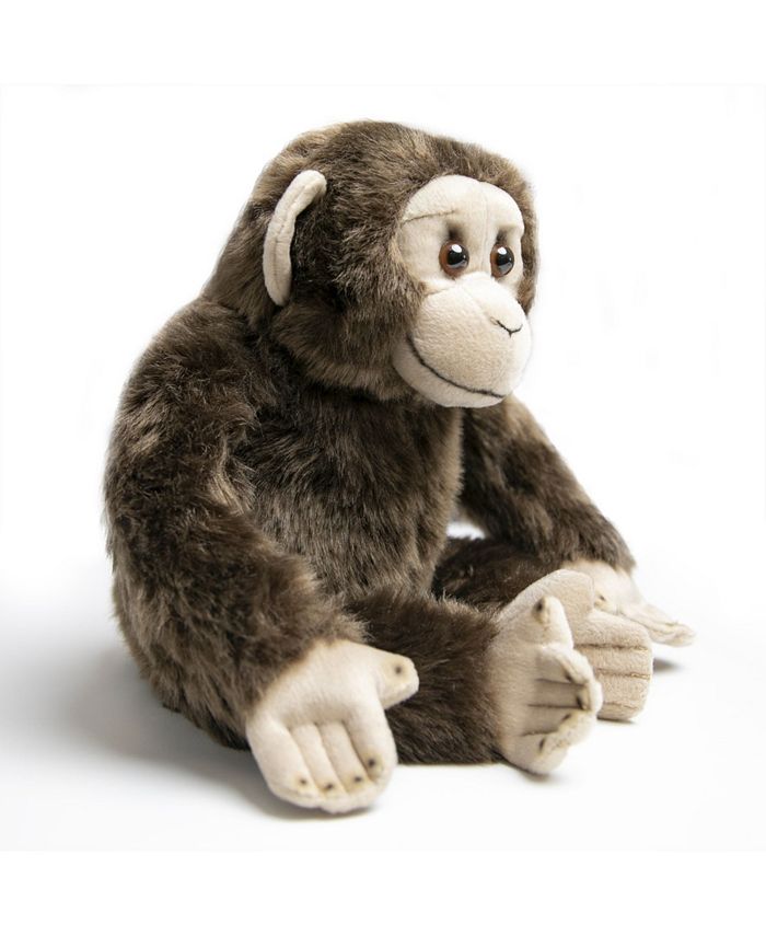 fao monkey