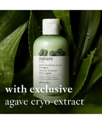 philosophy nature in a jar gentle detoxifying cleanser with agave
