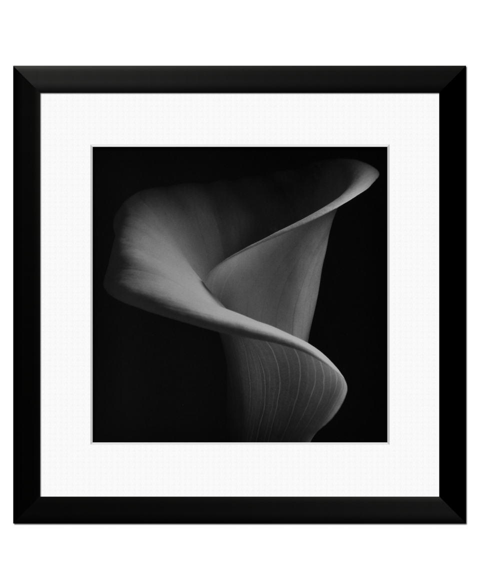Metaverse Framed Art, Calla Lily   Wall Art   for the home