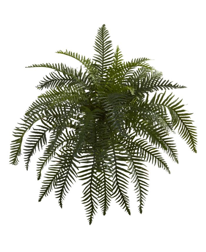 Nearly Natural 26" River Fern Artificial Plant, Set of 2 & Reviews - Home - Macy's