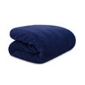 Lauren Ralph Lauren Micromink Plush 66" x 90" Twin Blanket (2 Colors)