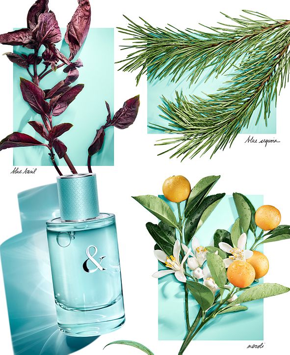 Tiffany & Co. Tiffany & Love Eau de Parfum for Her 3-Pc. Gift Set
