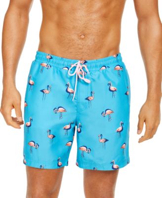 turquoise swim shorts