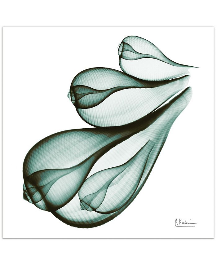 Empire Art Direct Coastal Serenity I Frameless Free Floating Tempered Glass Panel Graphic Wall Art 24 X 24 X 0 2 Reviews All Wall Decor Home Decor Macy S Shop allposters.com to find great deals on albert koetsier prints for sale!