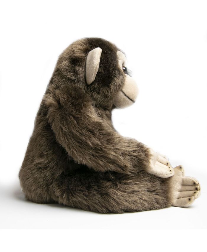 fao monkey